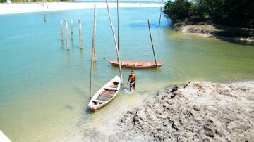 Ilha do Marajó Ilha do Marajó