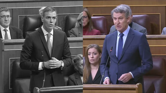 El presidente del Gobierno, Pedro Sánchez, y el líder del PP, Alberto Núñez Feijóo, en el Congreso. El presidente del Gobierno, Pedro Sánchez, y el líder del PP, Alberto Núñez Feijóo, en el Congreso.