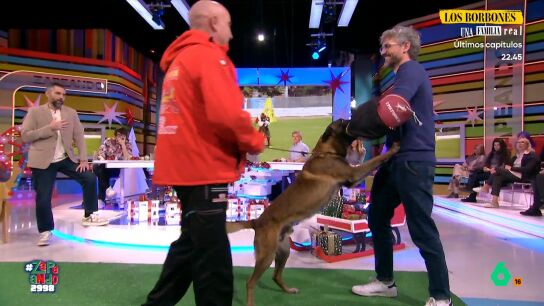 Roger y su gu&iacute;a, Antonio Alonso, ofrecen en este v&iacute;deo de Zapeando una exhibici&oacute;n de las cualidades de obediencia y protecci&oacute;n por las que este perro se ha convertido en campe&oacute;n del mundo en IGP.