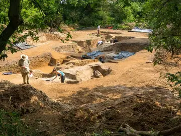 Excavación de sedimentos de un estanque de 400 000 años en Barnham, Suffolk Excavación de sedimentos de un estanque de 400 000 años en Barnham, Suffolk