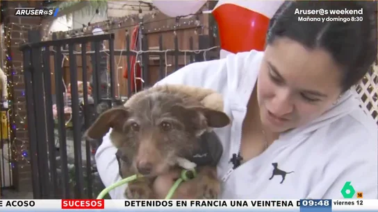 Choco vuelve a casa por Navidad: el emocionante reencuentro de un perro con su familia tras 5 años desaparecido Choco vuelve a casa por Navidad: el emocionante reencuentro de un perro con su familia tras 5 años desaparecido