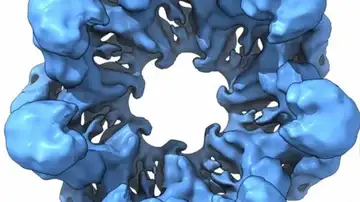 Reconstrucción tridimensional de una chaperonina ancestral Reconstrucción tridimensional de una chaperonina ancestral