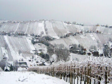  Prekmurje en Eslovenia en invierno