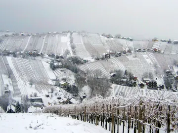 Prekmurje en Eslovenia en invierno Prekmurje en Eslovenia en invierno