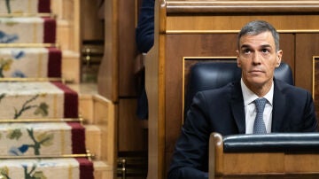 El presidente del Gobierno, Pedro S&aacute;nchez, en el Congreso de los Diputados
