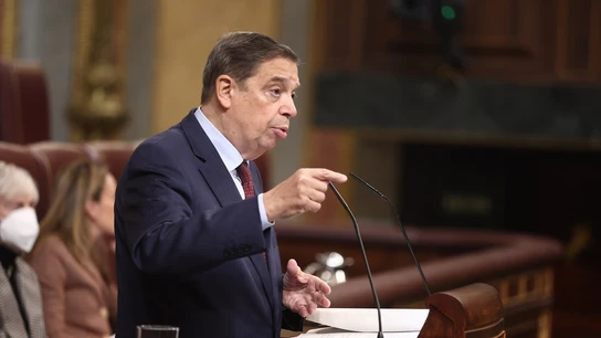 El ministro de Agricultura, Pesca y Alimentación, Luis Planas. El ministro de Agricultura, Pesca y Alimentación, Luis Planas.