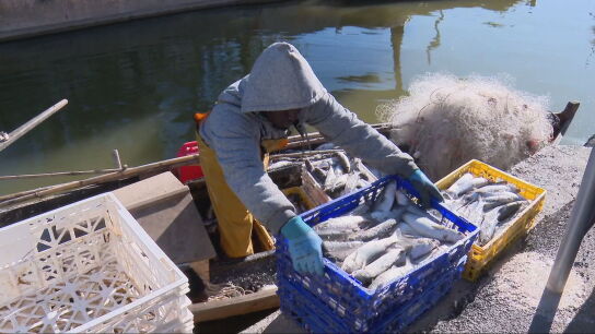 Pescadores trabajando.