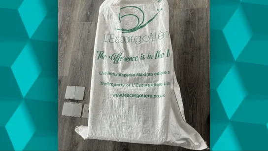 Imagen de una caja de caracoles en uno de los edificios de Londres inspeccionados Imagen de una caja de caracoles en uno de los edificios de Londres inspeccionados