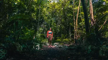 República Dominicana: la unión más pura entre naturaleza y mar República Dominicana: la unión más pura entre naturaleza y mar
