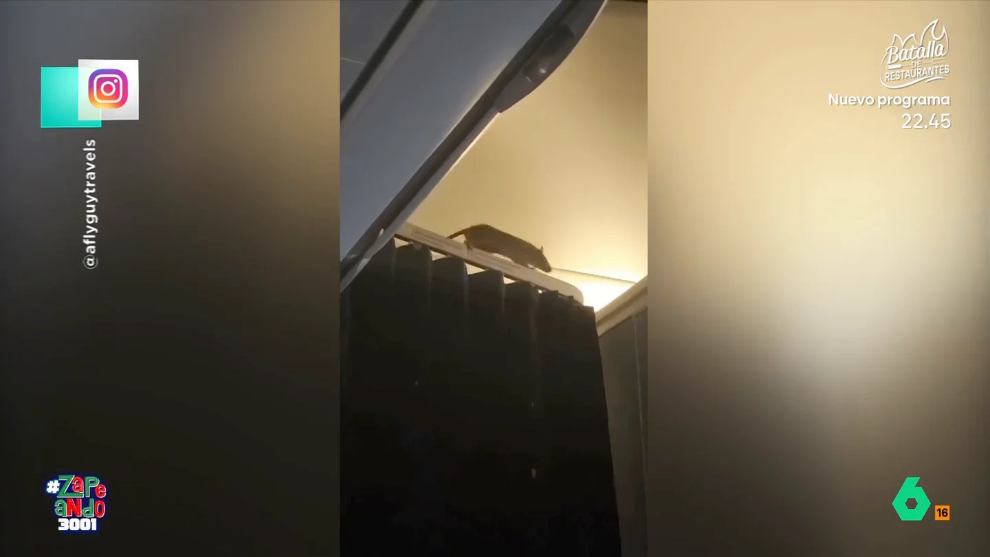Una rata se cuela en un avión y obliga a aterrizarlo: "Si viajaba en Ryanair, le hicieron pagar un extra fijo" 250 cincuenta pasajeros que volaban a Países Bajos tuvieron que aterrizar en la isla de Aruba por culpa de una enorme rata que se les coló en el avión. El momento, y la reacción de los zapeadores, en este vídeo.
