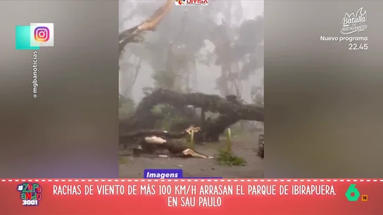 VÍDEO | Nacho García, tras el temporal en Brasil: "Deberían llamarlo ciclón Almeida porque no deja ningún árbol en pie" VÍDEO | Nacho García, tras el temporal en Brasil: "Deberían llamarlo ciclón Almeida porque no deja ningún árbol en pie"