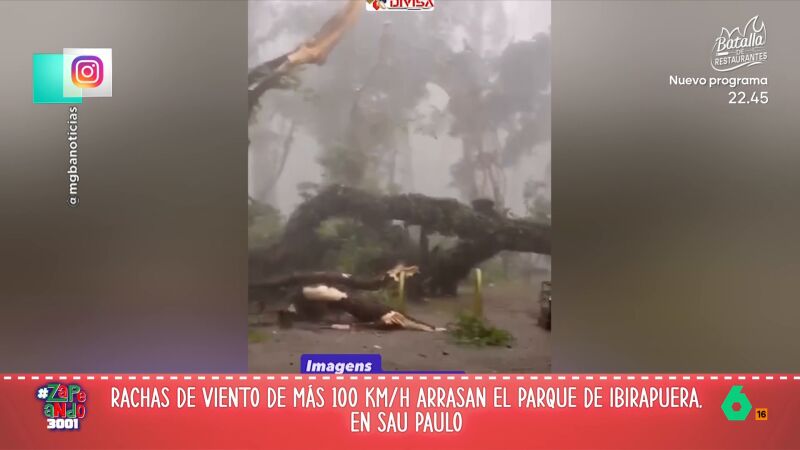 V&Iacute;DEO | Nacho Garc&iacute;a, tras el temporal en Brasil: "Deber&iacute;an llamarlo cicl&oacute;n Almeida porque no deja ning&uacute;n &aacute;rbol en pie"