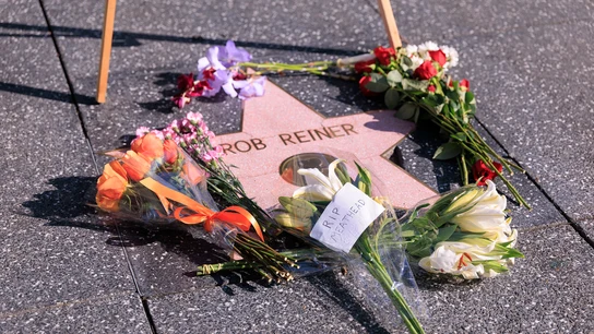Flores en la estrella de Bob Reiner en el Paseo de la Fama de Hollywood Flores en la estrella de Bob Reiner en el Paseo de la Fama de Hollywood