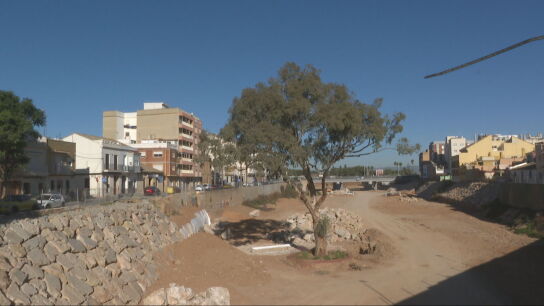 De resistir la DANA a optar a 'Mejor &Aacute;rbol del A&ntilde;o': el eucalipto que sigue en pie en Paiporta