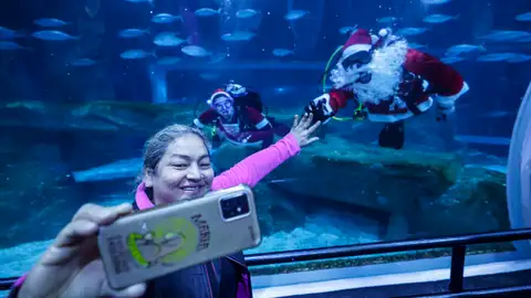 Una mujer se toma una fotografía junto a una pareja vestida de Papá y Mamá Noel buceando en el acuario AquaRio en Río de Janeiro (Brasil) Una mujer se toma una fotografía junto a una pareja vestida de Papá y Mamá Noel buceando en el acuario AquaRio en Río de Janeiro (Brasil)