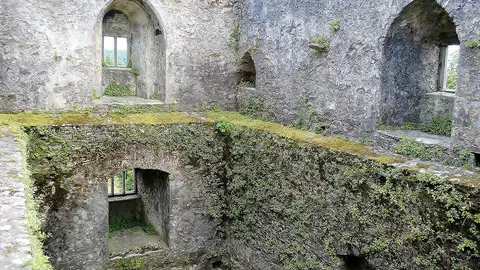 Castillo de Blarney Castillo de Blarney