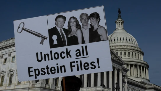 Protestas por la publicación de los archivos de Epstein Protestas por la publicación de los archivos de Epstein