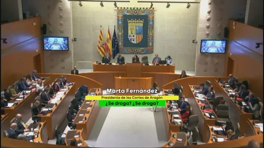 De Le Senne en Balears a Fernández en Aragón: las polémicas presidencias de cámaras autonómicas de Vox en busca de visibilidad De Le Senne en Balears a Fernández en Aragón: las polémicas presidencias de cámaras autonómicas de Vox en busca de visibilidad