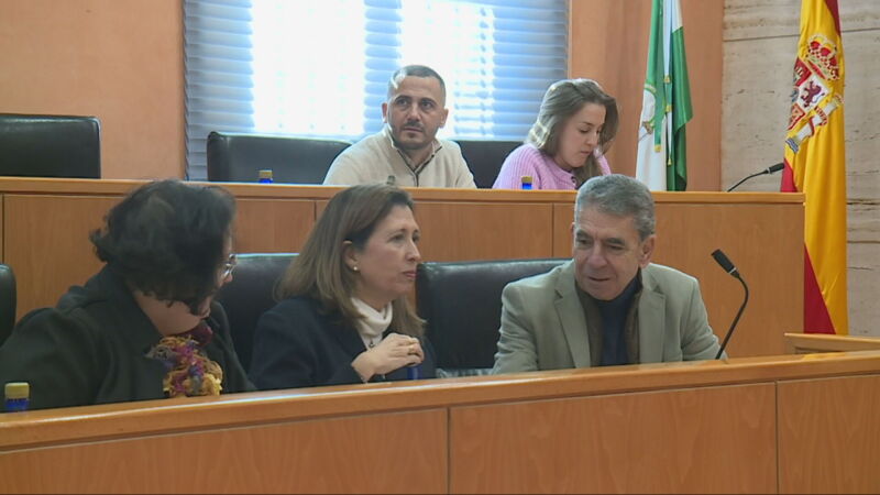 Pleno Ayuntamiento de Dos Hermanas (Sevilla).