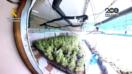 Una operación contra un grupo criminal en La Luisiana Una operación contra un grupo criminal en La Luisiana