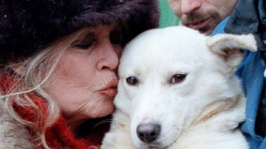 Adi&oacute;s a Brigitte Bardot, el icono sexual que hizo de la pol&eacute;mica su modo de vida