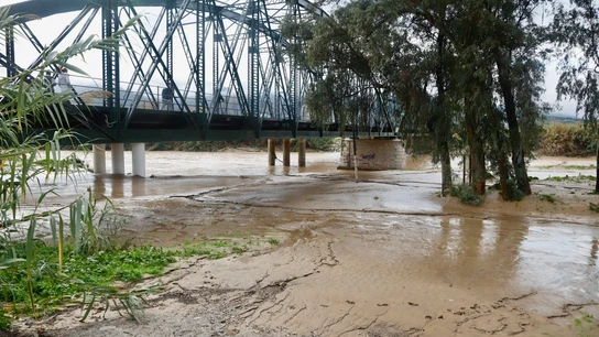 El río Guadalhorce a su paso por Cártama alcanza su máximo histórico de 5,80 metros tras las intensas lluvias, a 28 de diciembre de 2025 en Cártama El río Guadalhorce a su paso por Cártama alcanza su máximo histórico de 5,80 metros tras las intensas lluvias, a 28 de diciembre de 2025 en Cártama