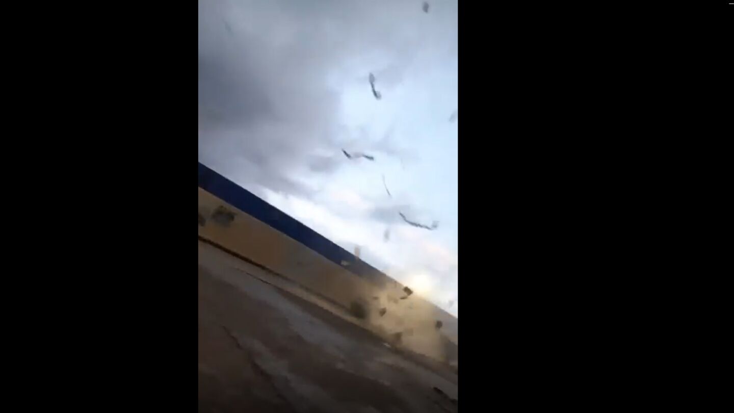 Impactantes imágenes del interior de la manga marina en el puerto de Mazarrón.
