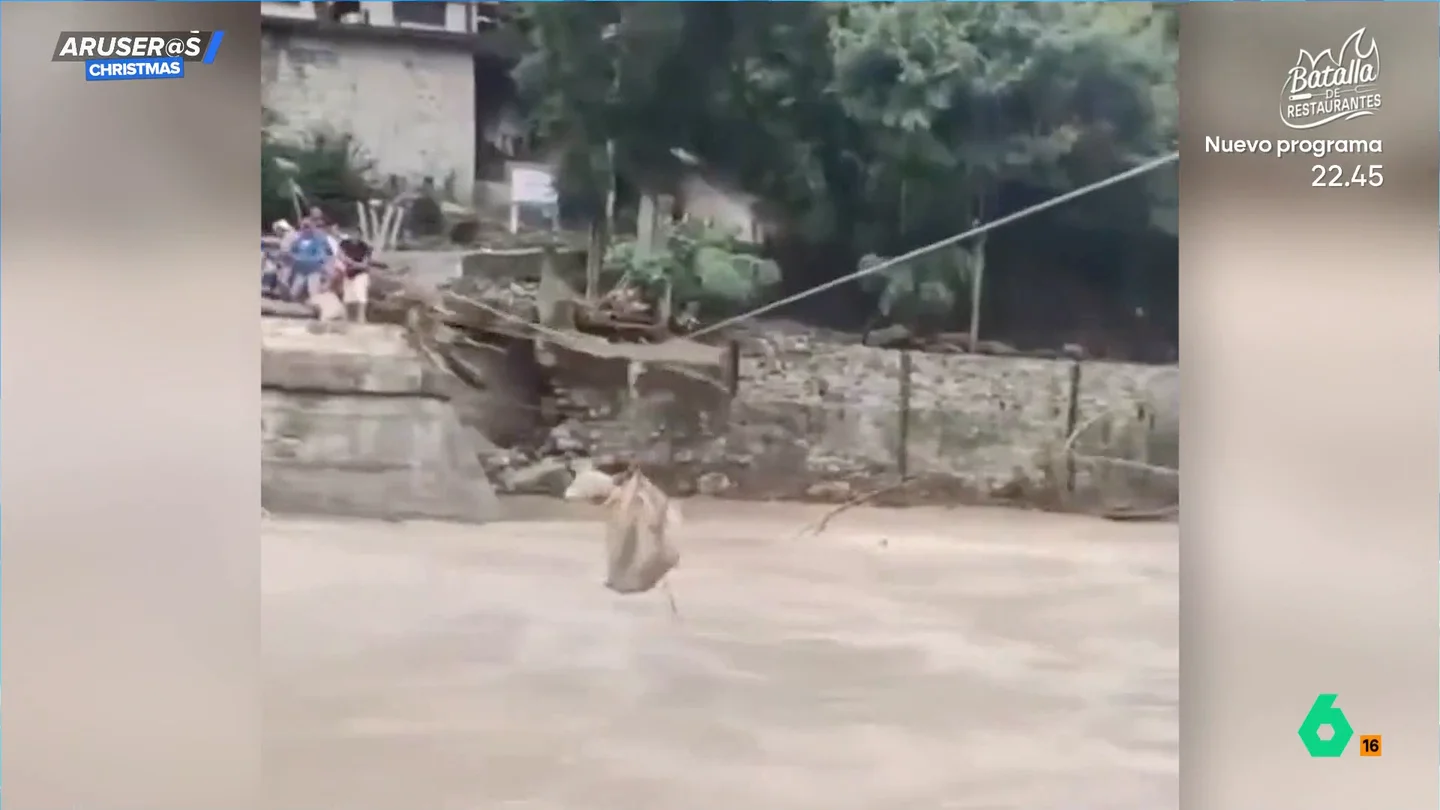 Unos vecinos crean un sistema de poleas para salvar la vida a unos perros callejeros en unas inundaciones Unos vecinos crean un sistema de poleas para salvar la vida a unos perros callejeros en unas inundaciones