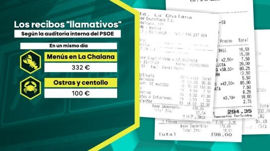 Grafismo de las facturas que aparecen en la auditor&iacute;a del PSOE