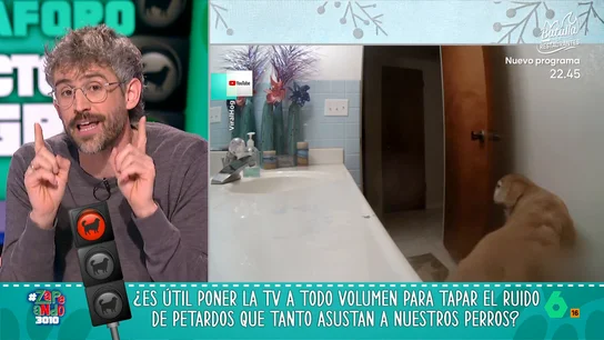 Víctor Algra alerta sobre los petardos en Navidad: "A muchos animales les produce auténtico pánico" Víctor Algra alerta sobre los petardos en Navidad: "A muchos animales les produce auténtico pánico"