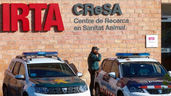 Los an&aacute;lisis de la Generalitat descartan que el virus de la peste porcina saliera del laboratorio