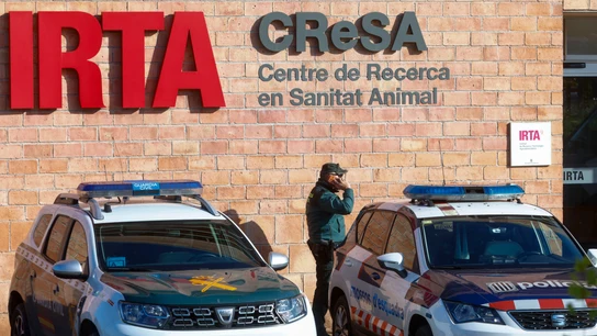 Los análisis de la Generalitat descartan que el virus de la peste porcina saliera del laboratorio Los análisis de la Generalitat descartan que el virus de la peste porcina saliera del laboratorio