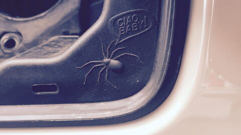 Araña Ciao Baby Jeep