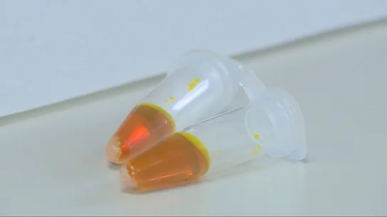 Así funciona el sensor creado en la UPV que detecta escopolamina, una droga clave en la sumisión química Así funciona el sensor creado en la UPV que detecta escopolamina, una droga clave en la sumisión química