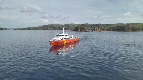 Dispositivo de b&uacute;squeda en Indonesia