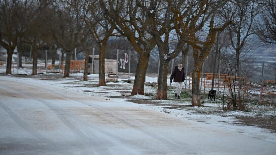 Una persona pasea a su perro en Los Santos de la Humosa