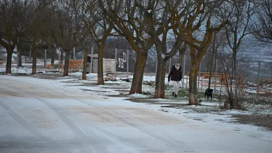 Una persona pasea a su perro en Los Santos de la Humosa Una persona pasea a su perro en Los Santos de la Humosa