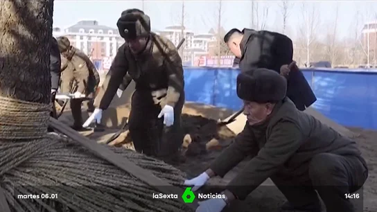 pala Kim Corea pala Kim Corea