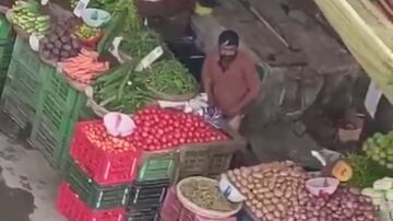 FRUTA