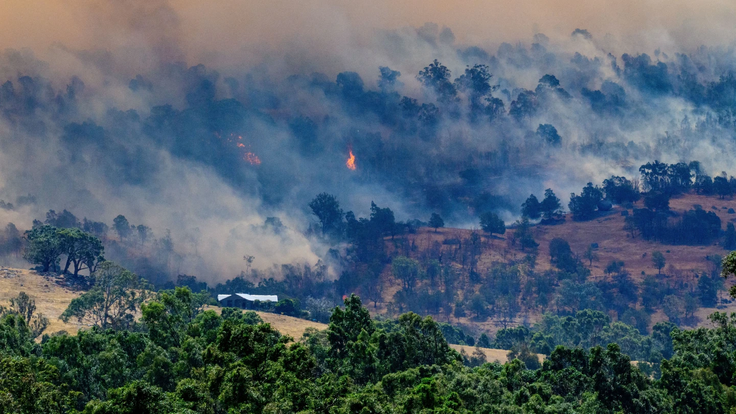 Incendios en Australia queman miles de hectáreas. Incendios en Australia queman miles de hectáreas.