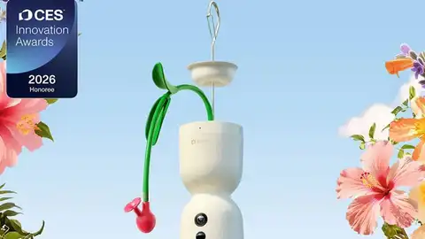 Comedero para colibríes Comedero para colibríes