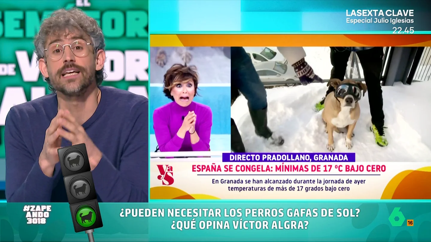 Gafas de sol para perros, ¿sí o no?: el veterinario Víctor Algra opina sobre este complemento canino En las tiendas para mascotas se pueden encontrar infinidad de complementos para nuestros animales. Entre ellos, por ejemplo, las gafas de sol. Pero, ¿este es un accesorio necesario y útil para nuestro perro?