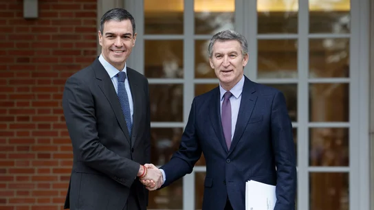 Pedro Sánchez y Alberto Núñez Feijóo se reunirán para hablar sobre defensa y política exterior Pedro Sánchez y Alberto Núñez Feijóo se reunirán para hablar sobre defensa y política exterior/ EFE/Javier Lizón