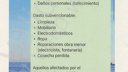"Va a haber un huevo de afectados": el WhatsApp de un alto cargo a Maz&oacute;n 45 minutos antes del Es-Alert el d&iacute;a de la DANA