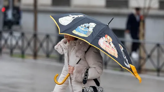 Una mujer se protege con el paraguas de la lluvia. Una mujer se protege con el paraguas de la lluvia.