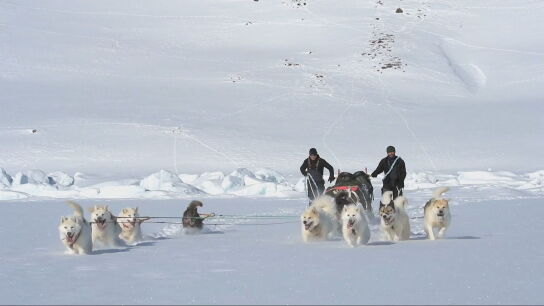 No son solo "trineos tirados por perros" como dice Trump: as&iacute; es la patrulla Sirius que protege Groenlandia desde la IIGM