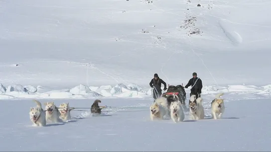 No son solo "trineos tirados por perros" como dice Trump: así es la patrulla Sirius que protege Groenlandia desde la IIGM No son solo "trineos tirados por perros" como dice Trump: así es la patrulla Sirius que protege Groenlandia desde la IIGM