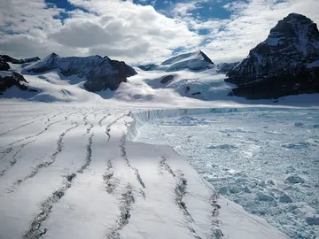 Glaciar antártico Glaciar antártico