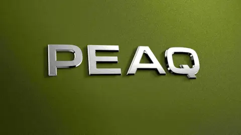 Skoda Peaq Skoda Peaq