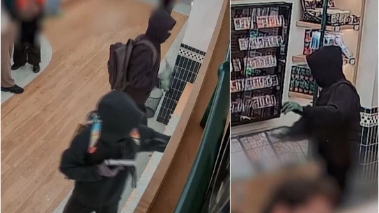 Atraco en una tienda Pokémon en Nueva York Atraco en una tienda Pokémon en Nueva York